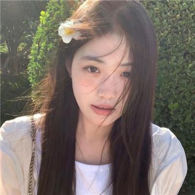 鸿雁